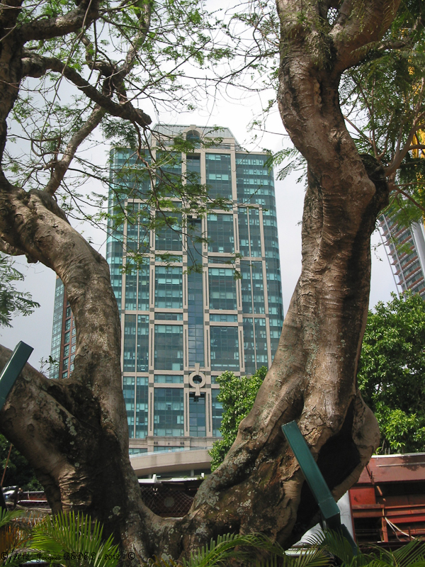 La Ville de HONG KONG