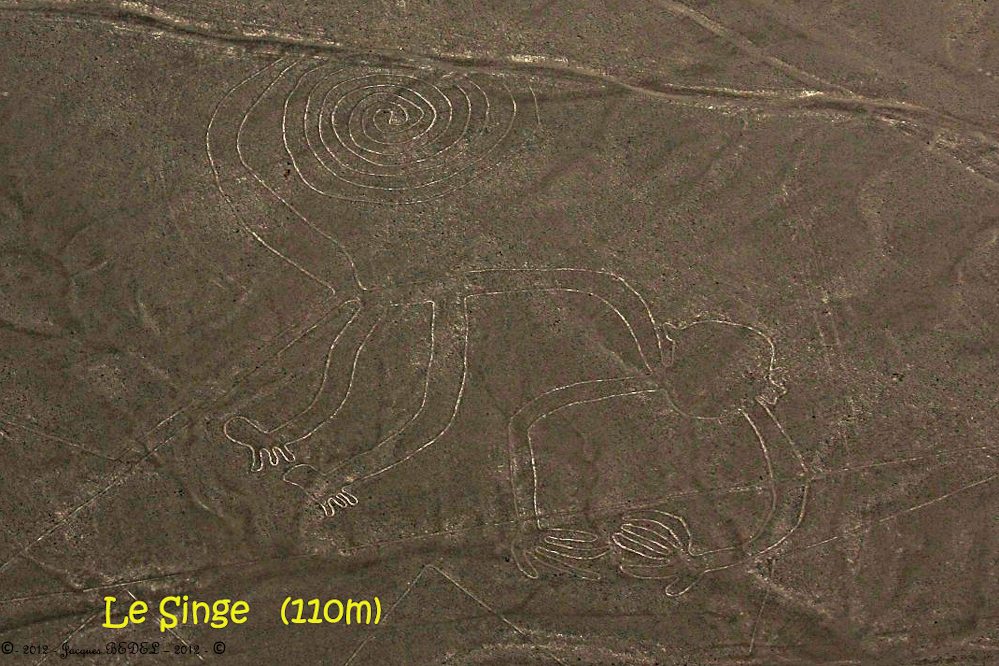 Les Géogliphes de NASCA