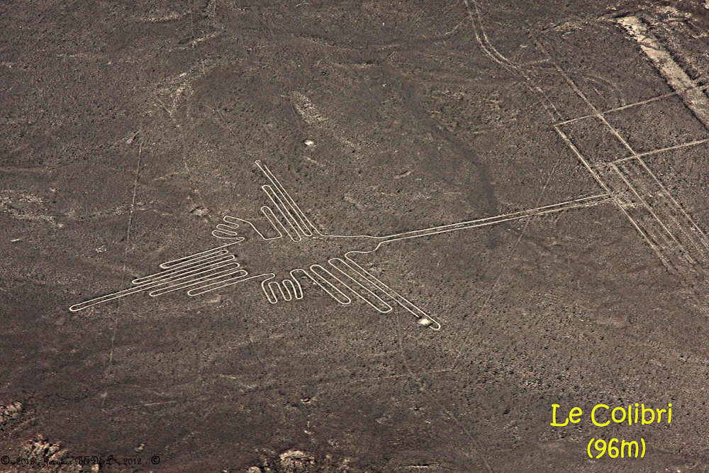 Les Géogliphes de NASCA