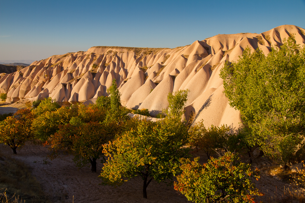LA  CAPPADOCE