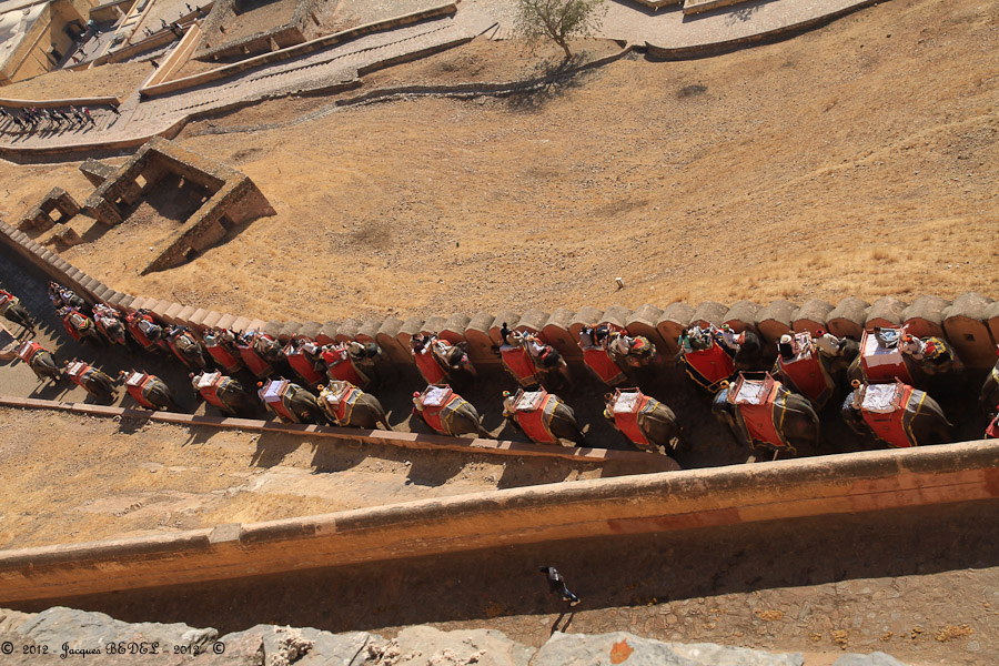Le Fort AMBER