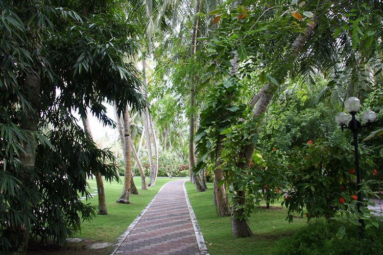 PARC ET VEGETATION LUXURIANTE