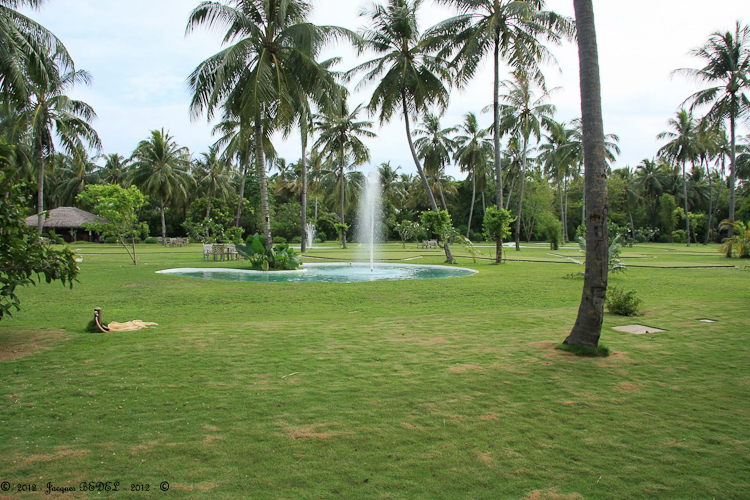 PARC ET VEGETATION LUXURIANTE