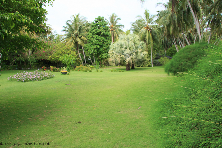 PARC ET VEGETATION LUXURIANTE