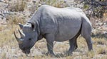 etosha